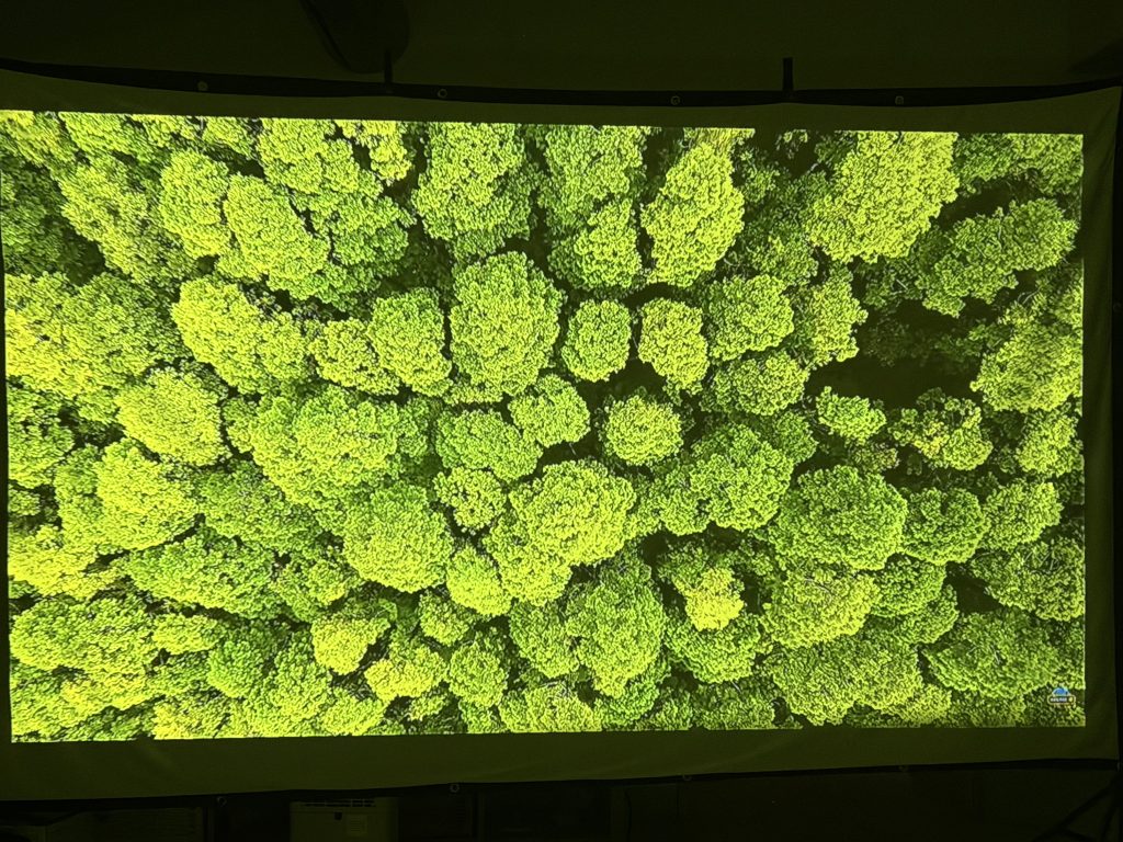 Vous êtes très sensible au bruitVous exigez un vrai 4K natifVous êtes un cinéphile exigeant avec un budget plus conséquent