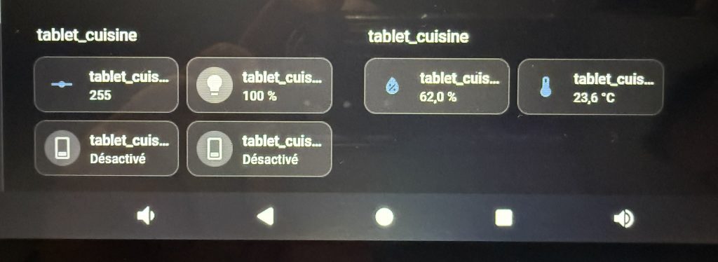 Interface MQTT SMT1019 – capteurs domotiques en temps réel : luminosité 100%, humidité 62%, température 23,6°C et relais